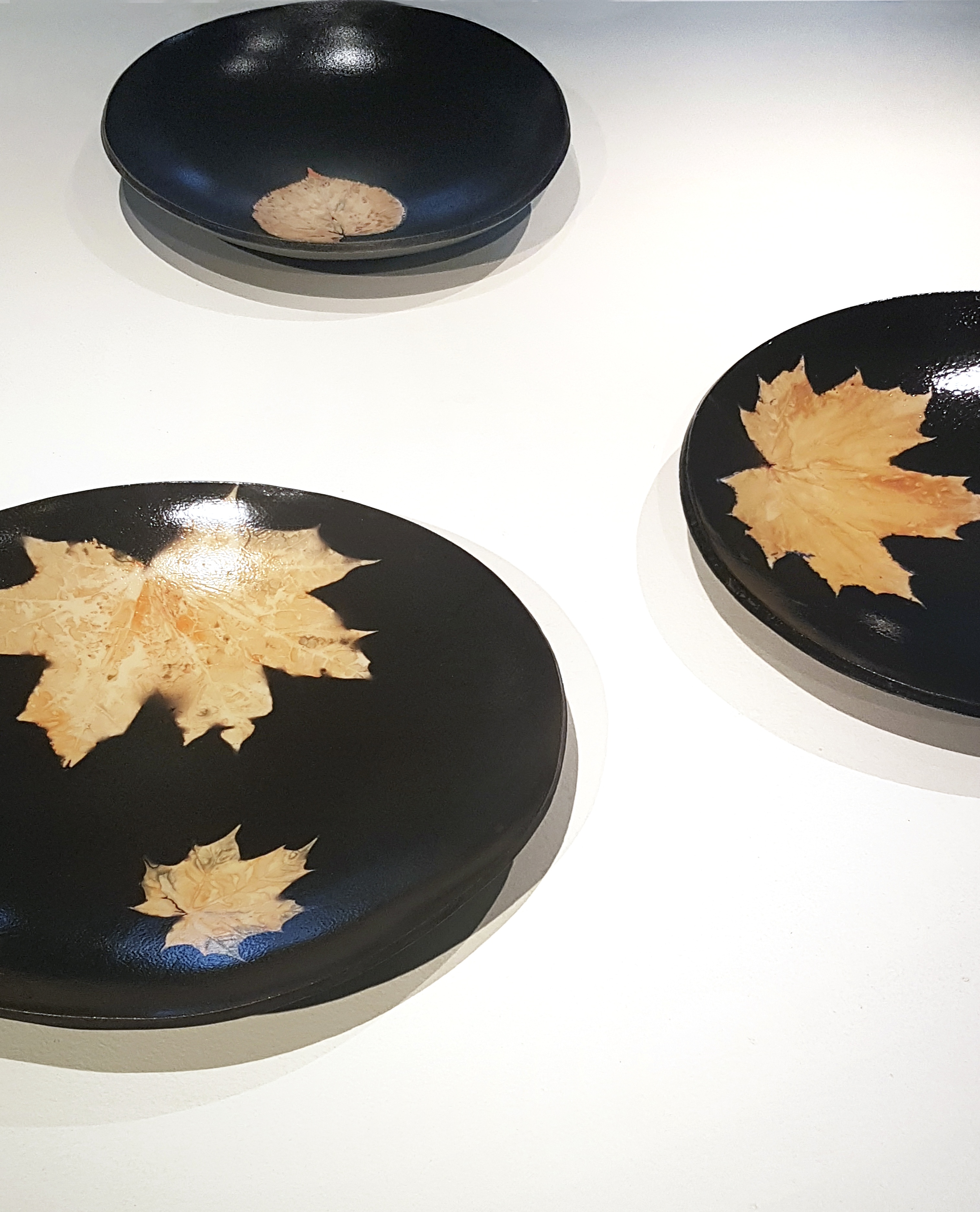 Autumn plates